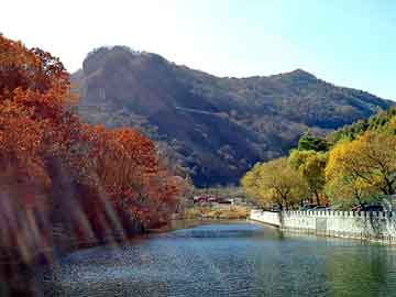 新澳天天开奖资料大全旅游团，新式保安服